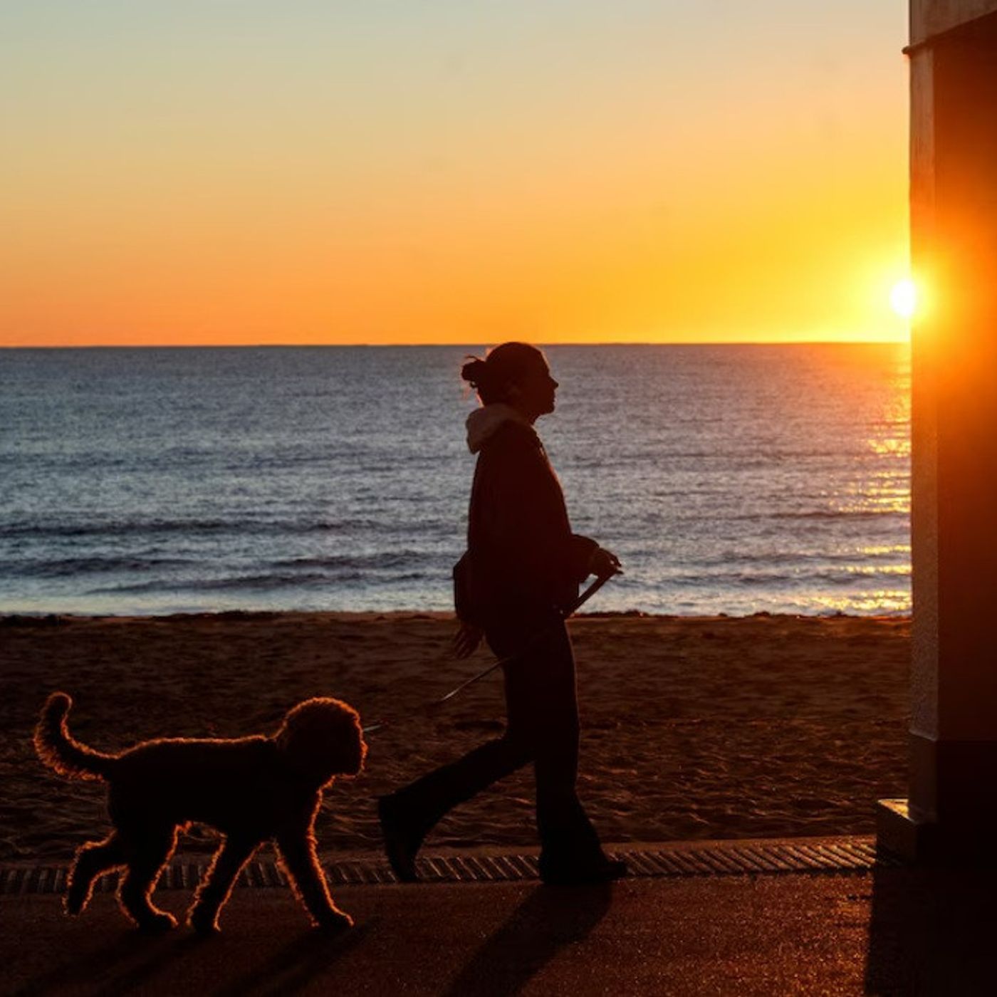 984: Podcast IA - De la salud cardíaca a la cognitiva: los beneficios de pasear al perro que la mayoría desconoce episode artwork