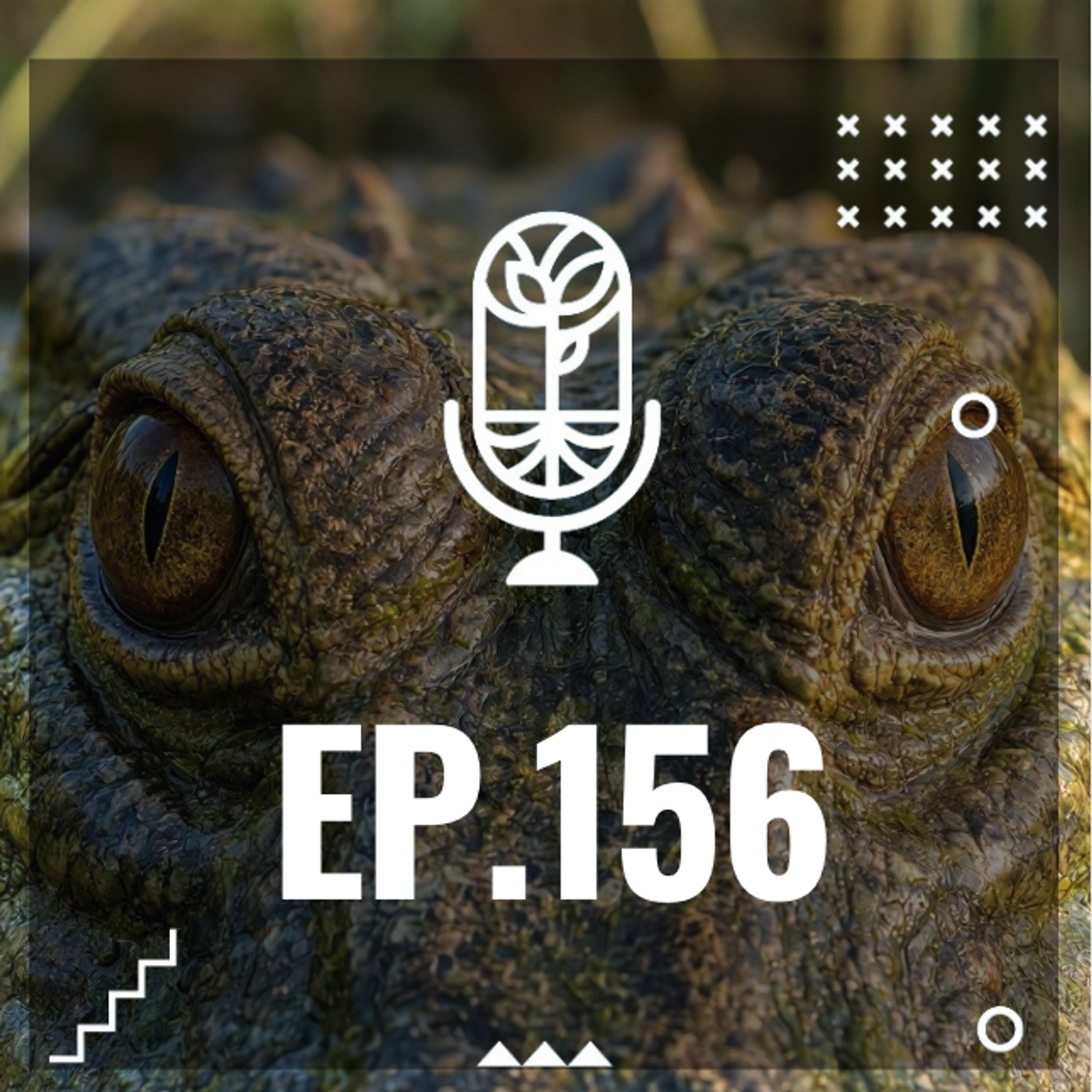S3 Ep156: VÍCTIMAS DEL ANTROPOCENO episode artwork