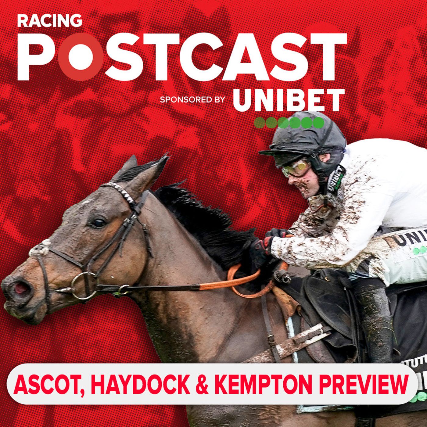 458: 'He travels like a machine and I definitely think he can win!' | Ascot, Haydock & Kempton Preview