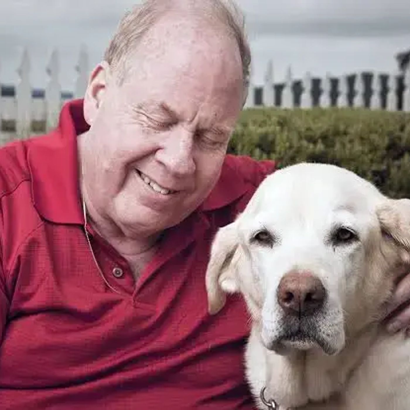 Michael Hingson: Led Blindly 78 Floors By Roselle, His Dog. episode artwork