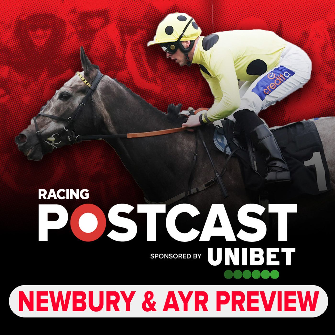 463: Newbury & Ayr Preview | Horse Racing Tips | Racing Postcast