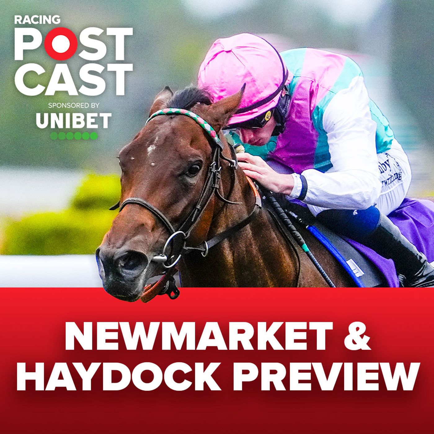 464:  'There are two good fillies and one exceptional one' | Newmarket & Haydock Preview