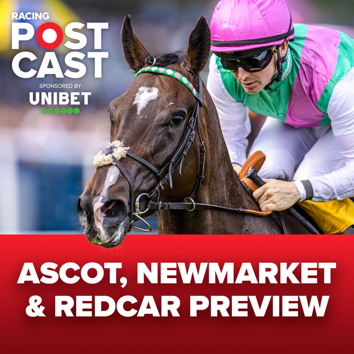 465:  'I have a DISEASE for This Horse' | Newmarket, Ascot & Redcar Preview