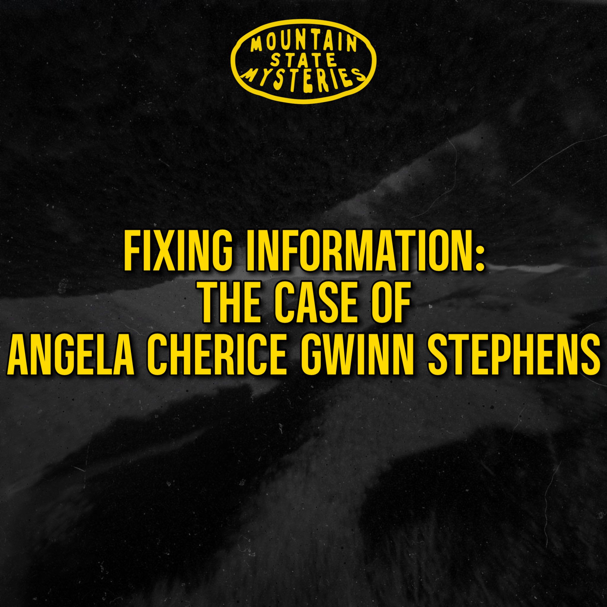 Fixing Information: The Case of Angela Cherice Gwinn Stephens