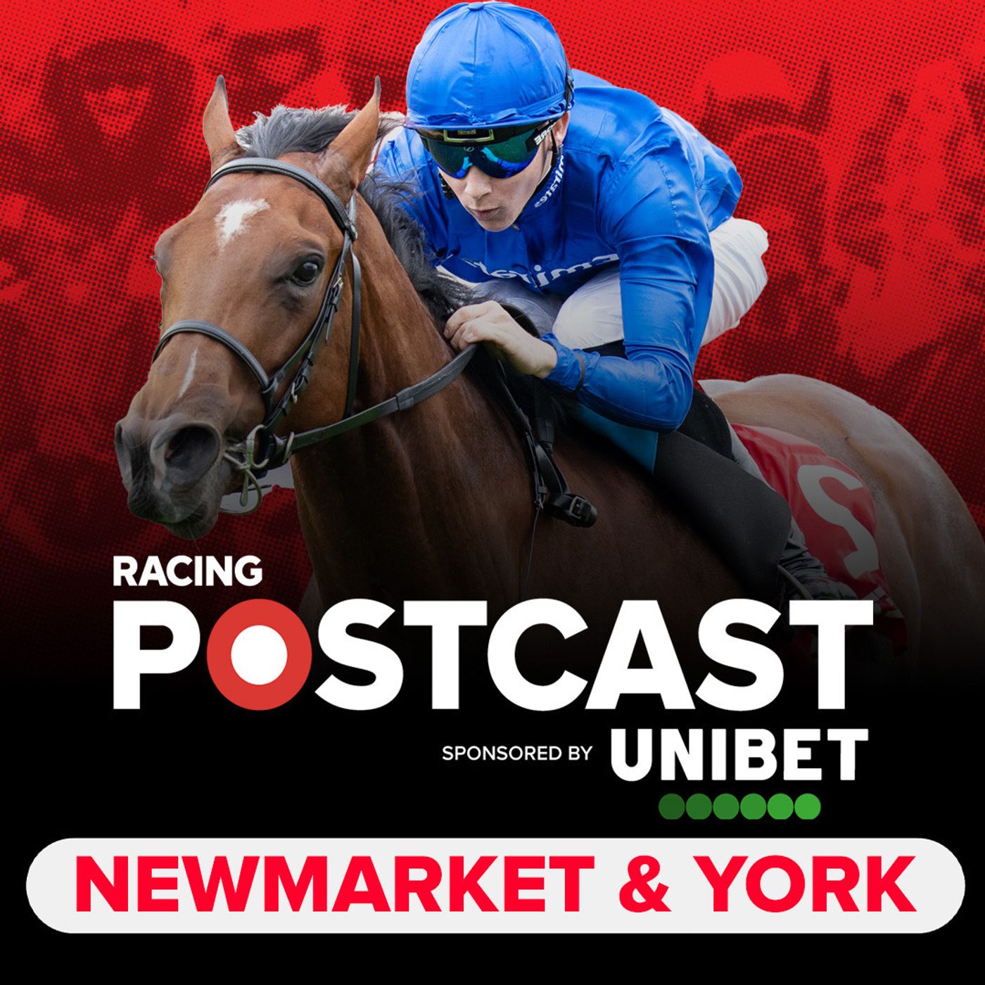 'I can't see this horse beaten' | Newmarket & York Preview