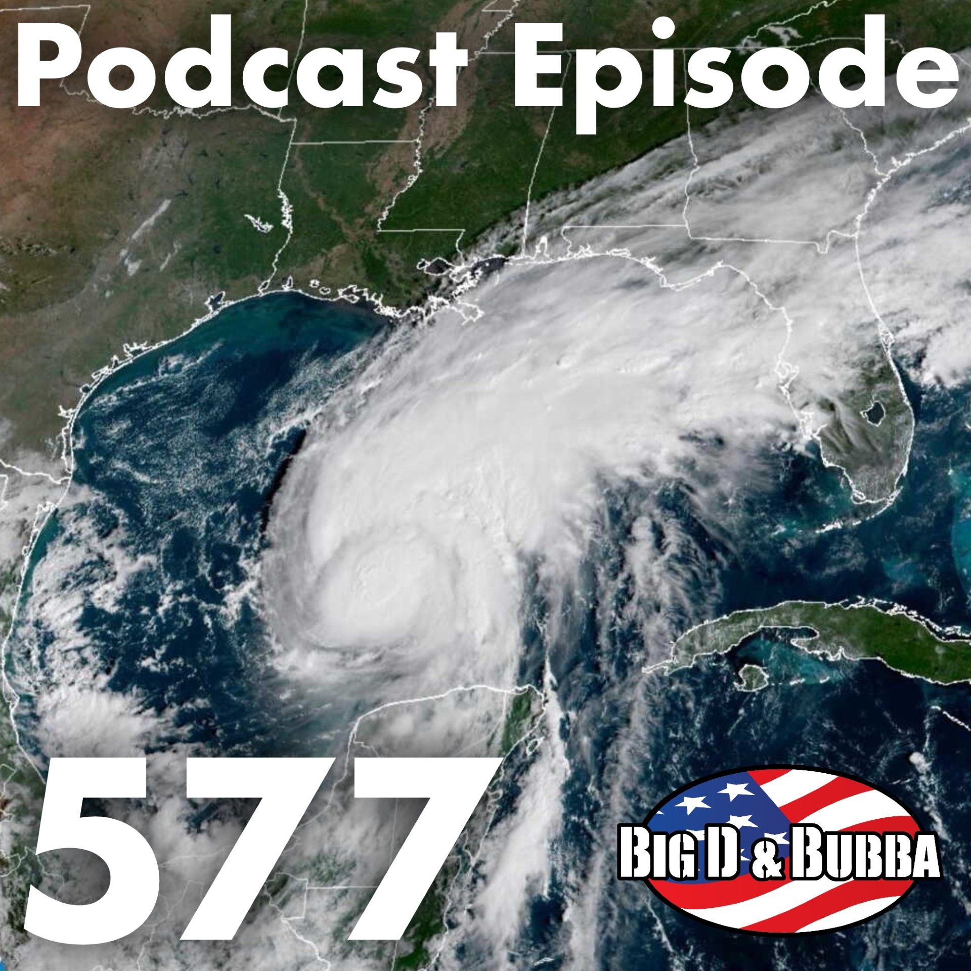 Ep. #577 - Shenanigans, Tomfoolery + Ashley Eckstein