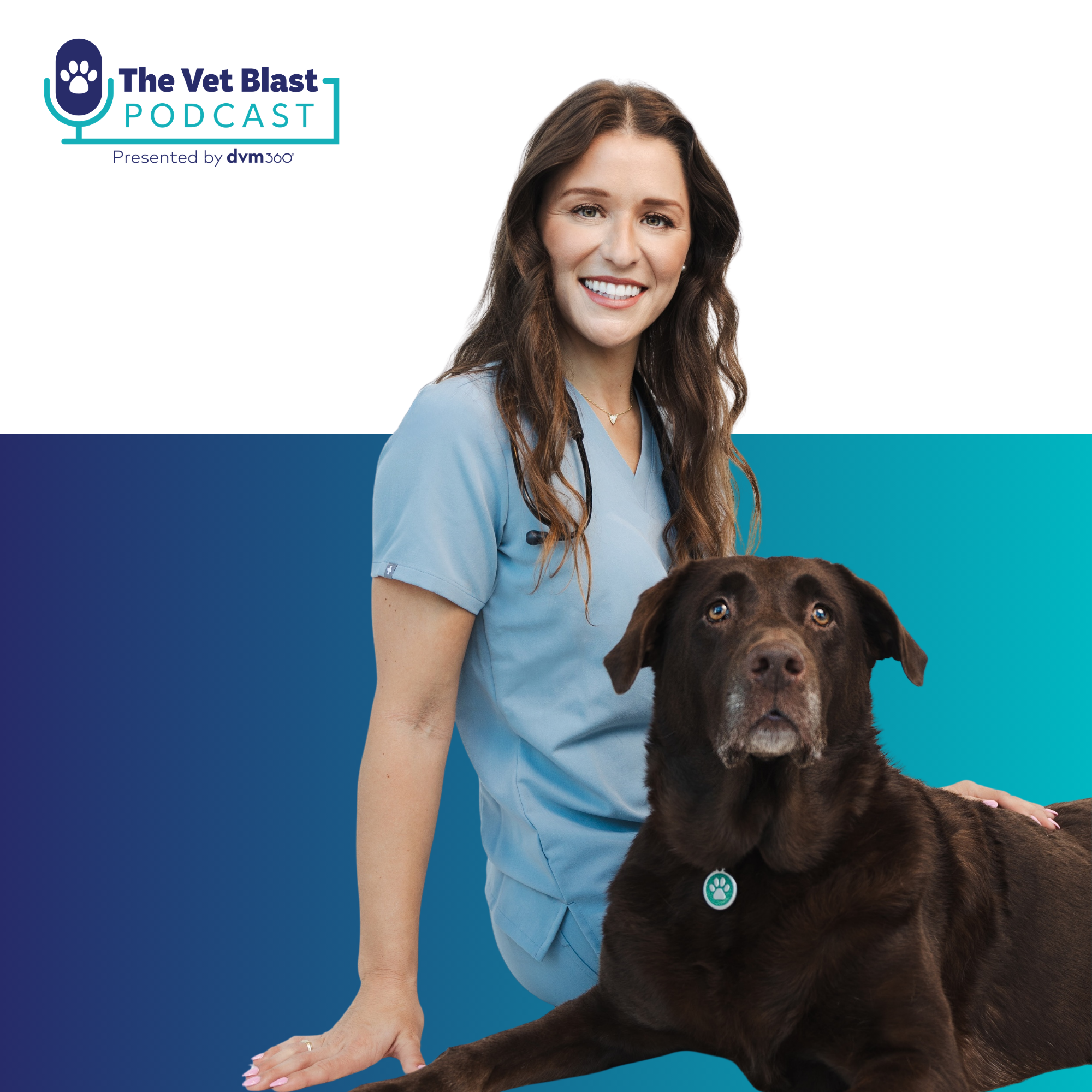 436: You can do anything, but not everything: How values-driven veterinarians find joy now