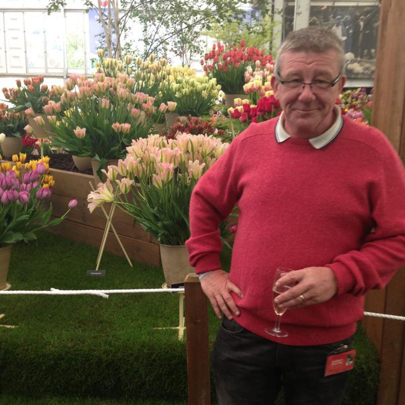 Advice on growing Tulips as Cut Flowers episode artwork