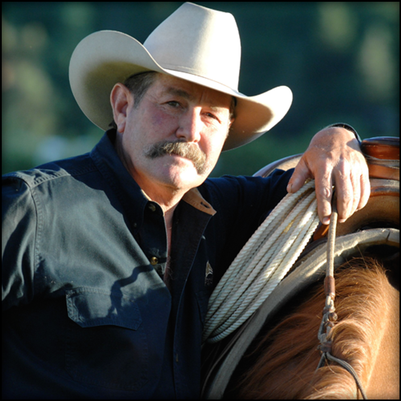 Pat Parelli - Parelli Natural Horsemanship episode artwork