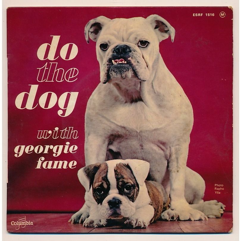 Обложки пес. Обложка журнала собака. For all the Dogs обложка. Rad Dogs обложка. Топ дог обложка.