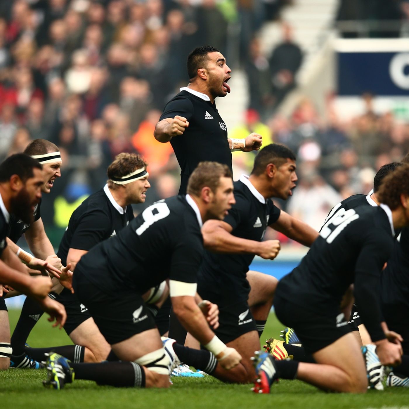 Jeff Probyn - Autumn Internationals Preview: 22nd November