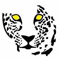 mitchleopard