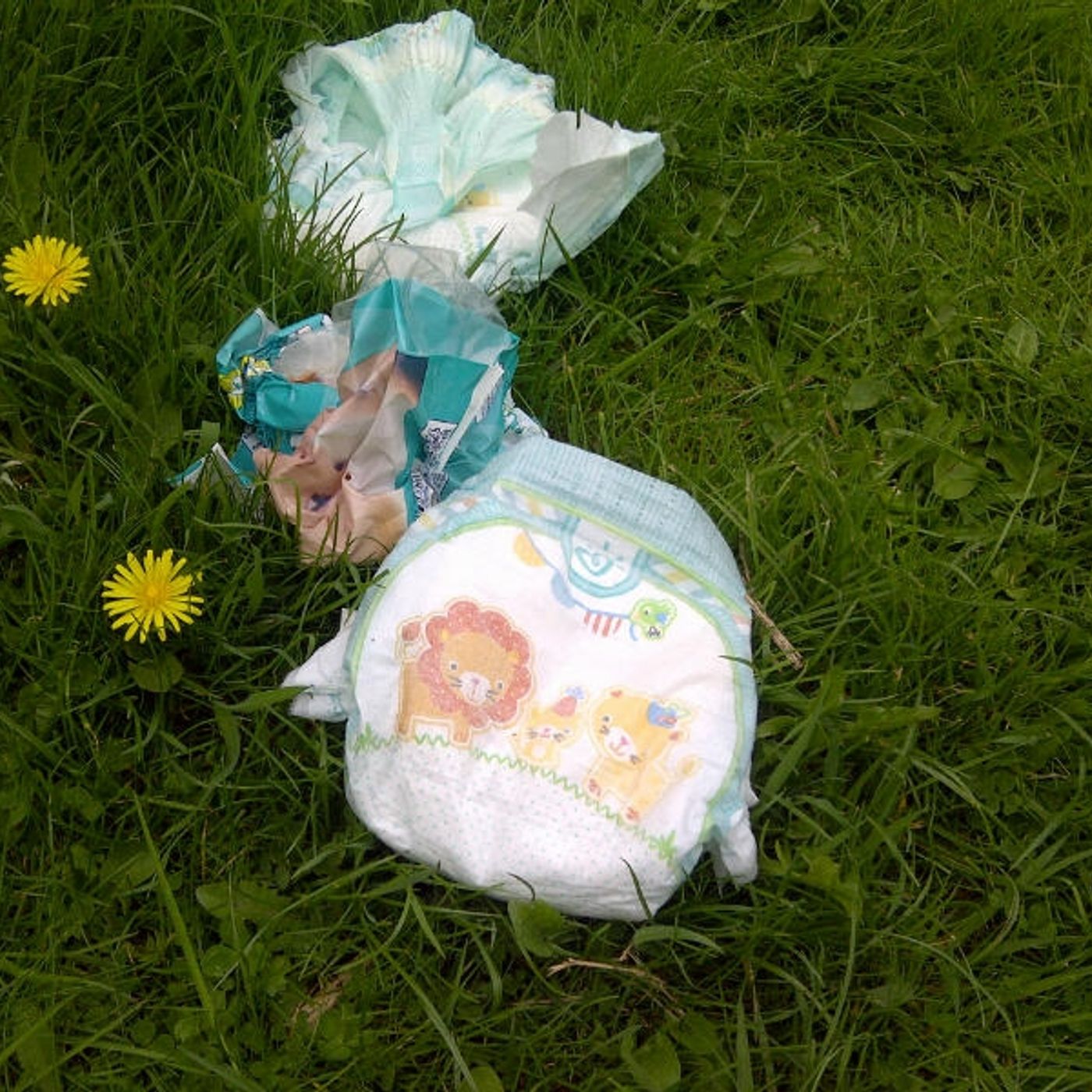 "I have dirty nappies thrown into my garden" episode artwork