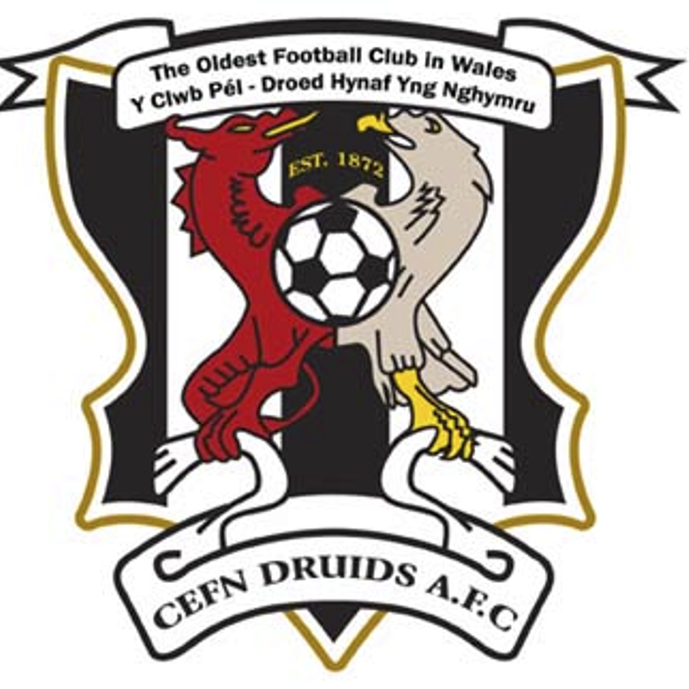 Cefn Druids FC