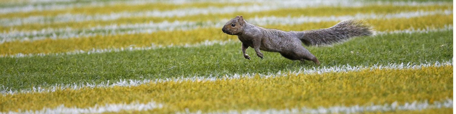 Packers Podcast