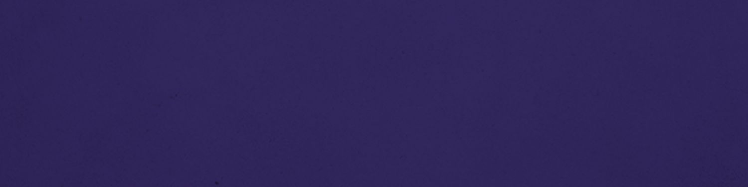 The MIN Files: The Ultimate Vikings Podcast