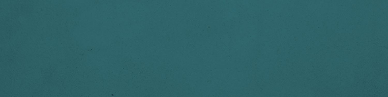 The MIA Files: The Ultimate Dolphins Podcast