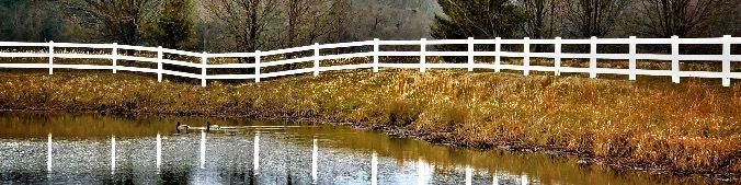 Im sorry about last night