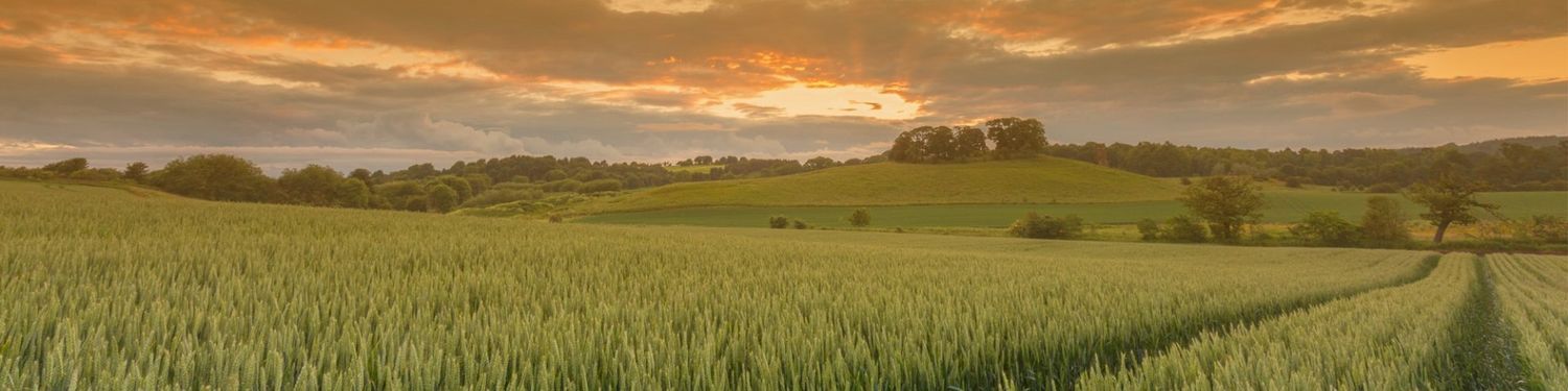 Farming For a Better Climate