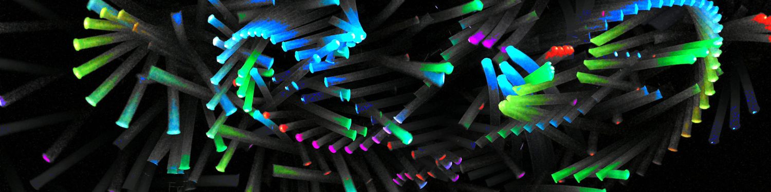 Shape Arts