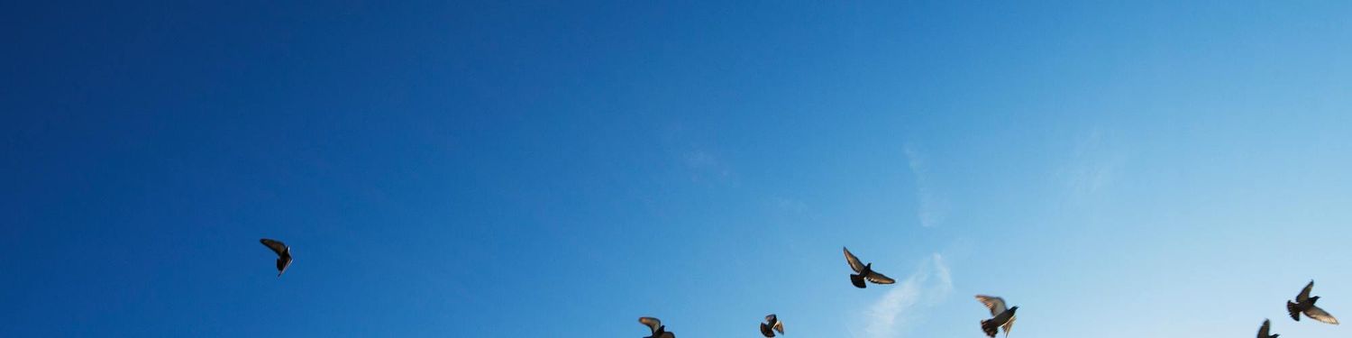 Bright Life Unshackled: Liberating The Mind and Reclaiming Our Power
