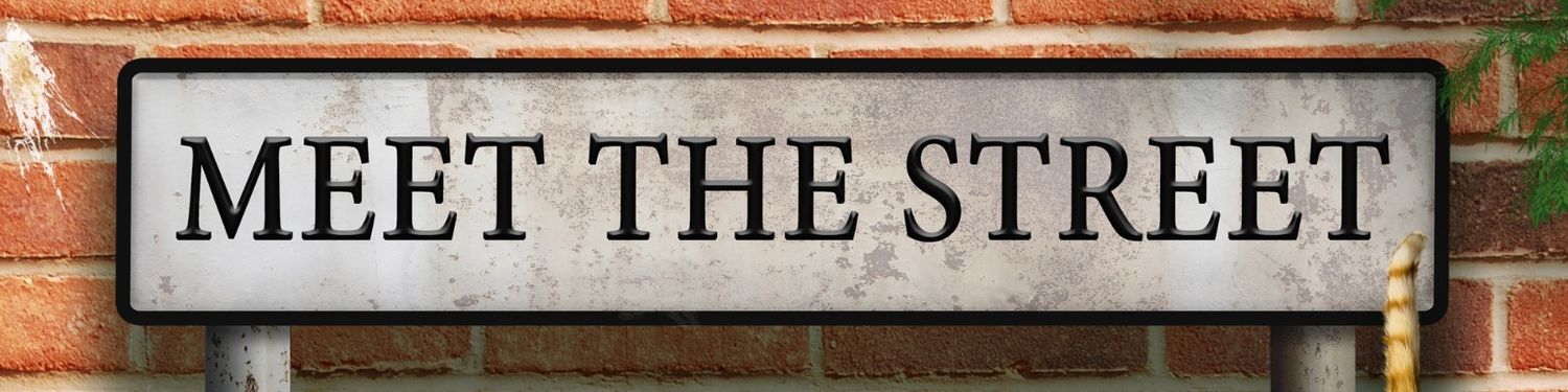 Meet the Street