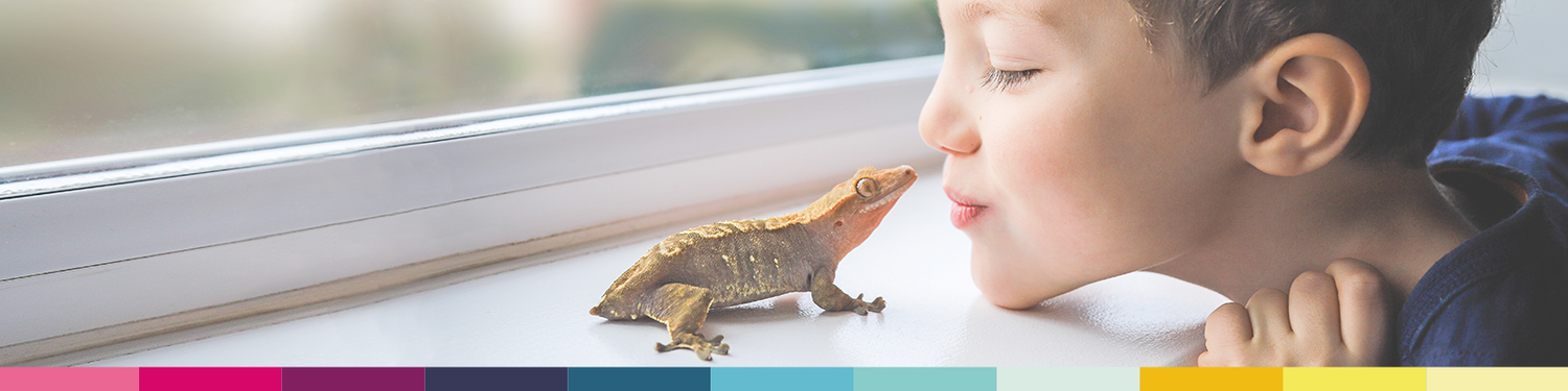 Autism Masterclass for Parents